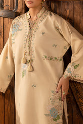 2 Piece Embroidered Karandi Suit with Organza Border AT-52001
